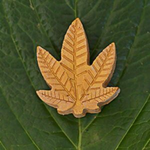 Barritas Iluminadoras